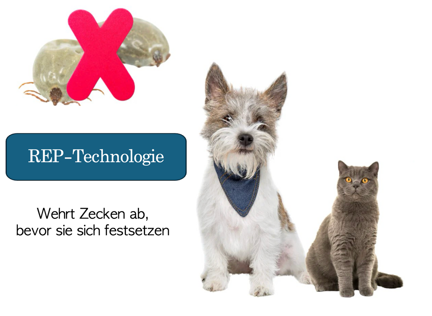 Herzensfell-Schutzband